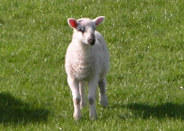 The Old Farm Semesterbostad Ambleside